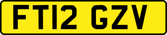 FT12GZV