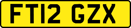 FT12GZX
