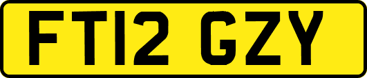 FT12GZY