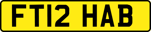 FT12HAB