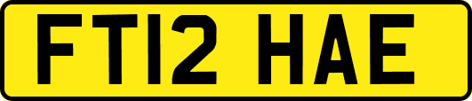 FT12HAE