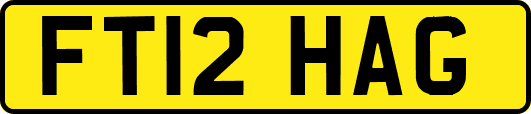 FT12HAG