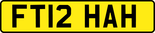 FT12HAH