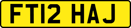 FT12HAJ