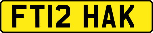FT12HAK