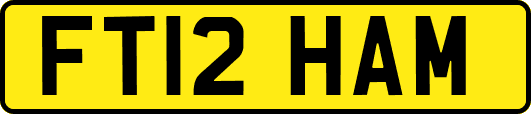 FT12HAM