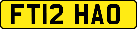 FT12HAO