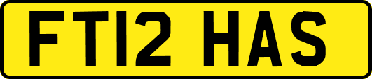 FT12HAS