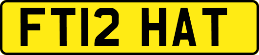 FT12HAT