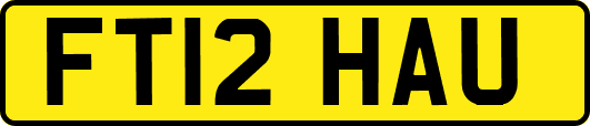 FT12HAU