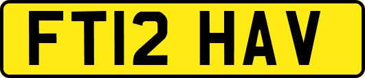 FT12HAV