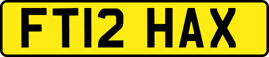 FT12HAX