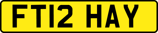 FT12HAY