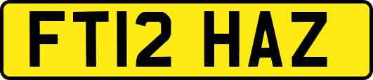 FT12HAZ