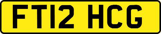 FT12HCG