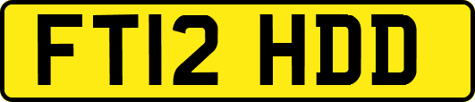 FT12HDD
