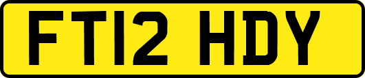 FT12HDY