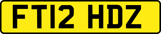 FT12HDZ
