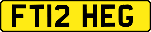 FT12HEG