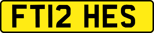 FT12HES