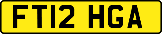 FT12HGA