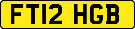 FT12HGB
