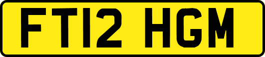 FT12HGM