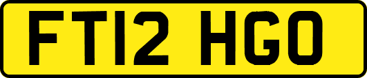 FT12HGO