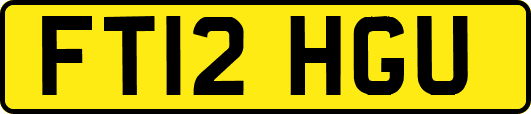 FT12HGU