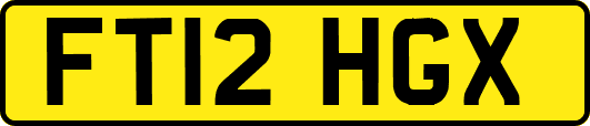 FT12HGX