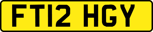 FT12HGY