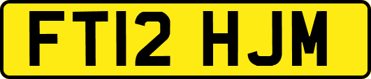 FT12HJM