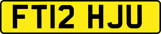 FT12HJU