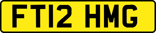 FT12HMG