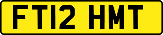 FT12HMT