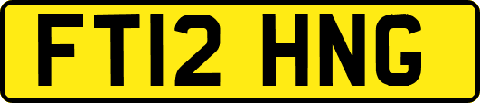 FT12HNG