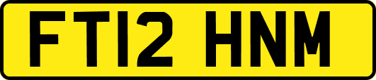 FT12HNM