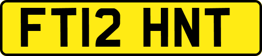 FT12HNT