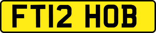 FT12HOB
