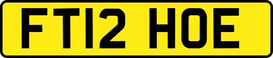FT12HOE