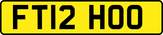 FT12HOO