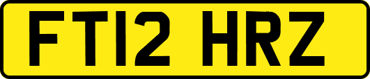 FT12HRZ