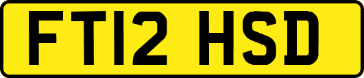 FT12HSD