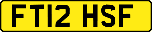 FT12HSF
