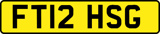 FT12HSG