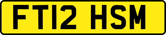 FT12HSM