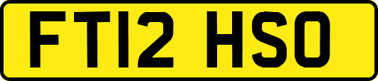 FT12HSO