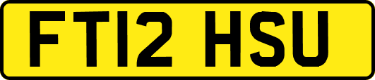 FT12HSU