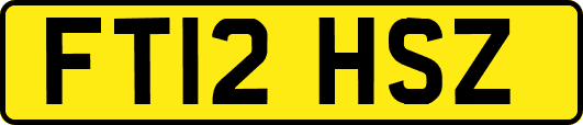 FT12HSZ