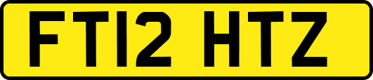 FT12HTZ